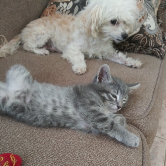 Meet your Posher, Melissa - Picture 6 of 7